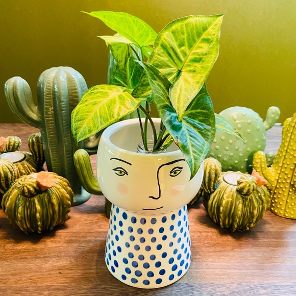 Opalhouse Other - 🌿Large Stoneware Family Planter/Vase  Blue/White
